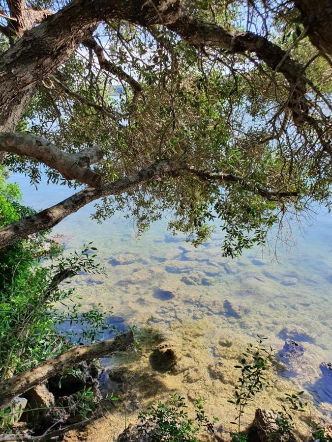 Perla D'Oriente - Affittacamere Otranto Esterno foto